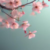 长街旧梦的头像